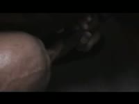 Big horse dick got super erected